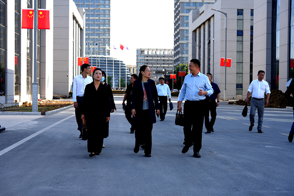 市政協(xié)常委、民革阜陽市委專職副主委鮑梅等一行蒞臨豪家集團
